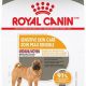 Best Royal Canin Sensitive Skin Dog Food | My Caring Dog – Tips, Stories, and Care Guides for Loving Pet Owners