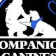 Companion Canines Of Pocatello | My Caring Dog – Tips, Stories, and Care Guides for Loving Pet Owners