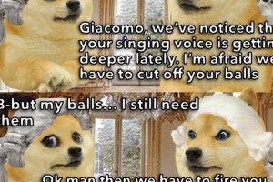 Doge Career My Caring Dog – Tips, Stories, and Care Guides for Loving Pet Owners Doge Career | My Caring Dog – Tips, Stories, and Care Guides for Loving Pet Owners