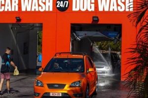 Best WashTime Car & Dog Wash: Quick & Easy My Caring Dog – Tips, Stories, and Care Guides for Loving Pet Owners Best WashTime Car & Dog Wash: Quick & Easy | My Caring Dog – Tips, Stories, and Care Guides for Loving Pet Owners