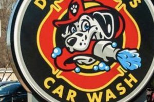 The Best Dirty Dogs Car Wash in Calhoun GA My Caring Dog – Tips, Stories, and Care Guides for Loving Pet Owners The Best Dirty Dogs Car Wash in Calhoun GA | My Caring Dog – Tips, Stories, and Care Guides for Loving Pet Owners