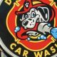 The Best Dirty Dogs Car Wash in Calhoun GA | My Caring Dog – Tips, Stories, and Care Guides for Loving Pet Owners