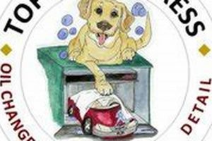 Top Dog Express Car Wash Coupons My Caring Dog – Tips, Stories, and Care Guides for Loving Pet Owners Top Dog Express Car Wash Coupons | My Caring Dog – Tips, Stories, and Care Guides for Loving Pet Owners
