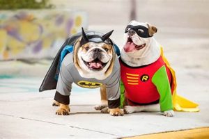 A Puppy Hero's Tale: Car Dog Adventures My Caring Dog – Tips, Stories, and Care Guides for Loving Pet Owners A Puppy Hero's Tale: Car Dog Adventures | My Caring Dog – Tips, Stories, and Care Guides for Loving Pet Owners