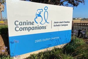 Top Canine Companions for Independence Santa Rosa Dogs My Caring Dog – Tips, Stories, and Care Guides for Loving Pet Owners Top Canine Companions for Independence Santa Rosa Dogs | My Caring Dog – Tips, Stories, and Care Guides for Loving Pet Owners