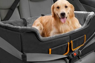Top Car Seats for 2 Small Dogs: Safe Travels My Caring Dog – Tips, Stories, and Care Guides for Loving Pet Owners Top Car Seats for 2 Small Dogs: Safe Travels | My Caring Dog – Tips, Stories, and Care Guides for Loving Pet Owners