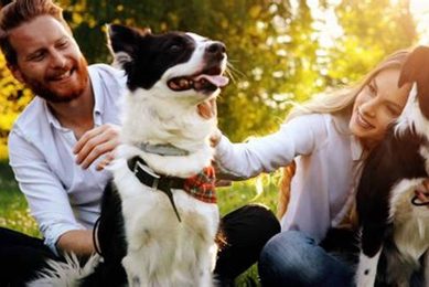 Best Car Accessories for Dogs with People My Caring Dog – Tips, Stories, and Care Guides for Loving Pet Owners Best Car Accessories for Dogs with People | My Caring Dog – Tips, Stories, and Care Guides for Loving Pet Owners