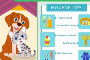 Essential Pet Dog Health Tips & Advice My Caring Dog – Tips, Stories, and Care Guides for Loving Pet Owners Essential Pet Dog Health Tips & Advice | My Caring Dog – Tips, Stories, and Care Guides for Loving Pet Owners