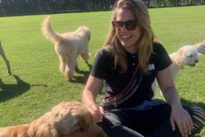 Best Dog Day Care Gold Coast: Top Centers My Caring Dog – Tips, Stories, and Care Guides for Loving Pet Owners Best Dog Day Care Gold Coast: Top Centers | My Caring Dog – Tips, Stories, and Care Guides for Loving Pet Owners