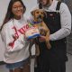 Best Animal Shelter in Morton Grove, IL | Adopt | My Caring Dog – Tips, Stories, and Care Guides for Loving Pet Owners