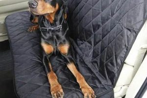 Best Dog Car Seats: 4Knines.com Top Picks My Caring Dog – Tips, Stories, and Care Guides for Loving Pet Owners Best Dog Car Seats: 4Knines.com Top Picks | My Caring Dog – Tips, Stories, and Care Guides for Loving Pet Owners