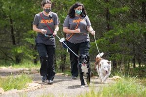 Trained Helper Pets: Canine Companions for Life My Caring Dog – Tips, Stories, and Care Guides for Loving Pet Owners Trained Helper Pets: Canine Companions for Life | My Caring Dog – Tips, Stories, and Care Guides for Loving Pet Owners