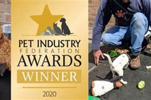 Best Dog Day Care in Berkshire | Top Kennels My Caring Dog – Tips, Stories, and Care Guides for Loving Pet Owners Best Dog Day Care in Berkshire | Top Kennels | My Caring Dog – Tips, Stories, and Care Guides for Loving Pet Owners