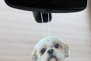 Car Air Freshener Dog My Caring Dog – Tips, Stories, and Care Guides for Loving Pet Owners Car Air Freshener Dog | My Caring Dog – Tips, Stories, and Care Guides for Loving Pet Owners