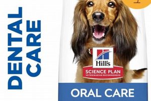 Oral Care Dog Food My Caring Dog – Tips, Stories, and Care Guides for Loving Pet Owners Oral Care Dog Food | My Caring Dog – Tips, Stories, and Care Guides for Loving Pet Owners