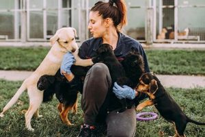Rescue a Canine Companion: Adopt, Don't Shop My Caring Dog – Tips, Stories, and Care Guides for Loving Pet Owners Rescue a Canine Companion: Adopt, Don't Shop | My Caring Dog – Tips, Stories, and Care Guides for Loving Pet Owners