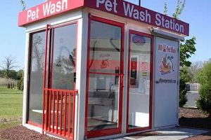 Best Car Wash & Dog Wash Near You | Find Locations My Caring Dog – Tips, Stories, and Care Guides for Loving Pet Owners Best Car Wash & Dog Wash Near You | Find Locations | My Caring Dog – Tips, Stories, and Care Guides for Loving Pet Owners