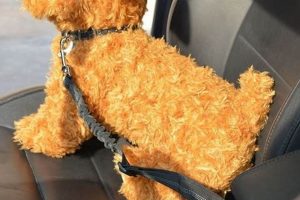 Top Slowton Dog Car Harnesses for Safe Travels My Caring Dog – Tips, Stories, and Care Guides for Loving Pet Owners Top Slowton Dog Car Harnesses for Safe Travels | My Caring Dog – Tips, Stories, and Care Guides for Loving Pet Owners