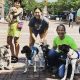 Top Canine Training Companies: Expert Dog Trainers | My Caring Dog – Tips, Stories, and Care Guides for Loving Pet Owners