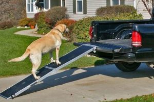 Top 5 Best Dog Ramps For Car: SUV & Truck My Caring Dog – Tips, Stories, and Care Guides for Loving Pet Owners Top 5 Best Dog Ramps For Car: SUV & Truck | My Caring Dog – Tips, Stories, and Care Guides for Loving Pet Owners