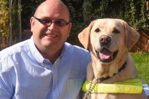 Labrador Training Near Me My Caring Dog – Tips, Stories, and Care Guides for Loving Pet Owners Labrador Training Near Me | My Caring Dog – Tips, Stories, and Care Guides for Loving Pet Owners