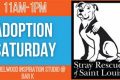 Find Your Puppy: Adoption in STL My Caring Dog – Tips, Stories, and Care Guides for Loving Pet Owners Find Your Puppy: Adoption in STL | My Caring Dog – Tips, Stories, and Care Guides for Loving Pet Owners