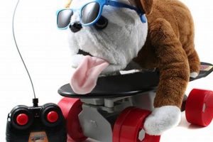 Best RC Cars for Dogs: Fun & Safe Toys My Caring Dog – Tips, Stories, and Care Guides for Loving Pet Owners Best RC Cars for Dogs: Fun & Safe Toys | My Caring Dog – Tips, Stories, and Care Guides for Loving Pet Owners