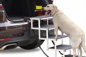 Best Dog Car Stairs: Safe & Easy Ramp Steps My Caring Dog – Tips, Stories, and Care Guides for Loving Pet Owners Best Dog Car Stairs: Safe & Easy Ramp Steps | My Caring Dog – Tips, Stories, and Care Guides for Loving Pet Owners