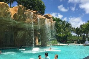 Best Dog Day Care in Aventura, FL: Top Picks My Caring Dog – Tips, Stories, and Care Guides for Loving Pet Owners Best Dog Day Care in Aventura, FL: Top Picks | My Caring Dog – Tips, Stories, and Care Guides for Loving Pet Owners