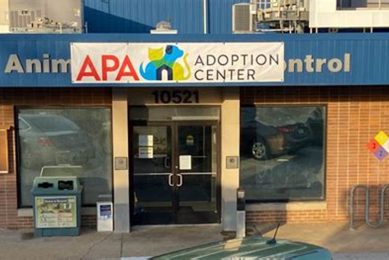 Adopt Dogs in St. Louis County: Find Your Furry Friend My Caring Dog – Tips, Stories, and Care Guides for Loving Pet Owners Adopt Dogs in St. Louis County: Find Your Furry Friend | My Caring Dog – Tips, Stories, and Care Guides for Loving Pet Owners