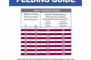 Best Hill's Digestive Care Dog Food Feeding Guide My Caring Dog – Tips, Stories, and Care Guides for Loving Pet Owners Best Hill's Digestive Care Dog Food Feeding Guide | My Caring Dog – Tips, Stories, and Care Guides for Loving Pet Owners