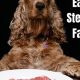 My Car Dog Loves Cans: A Guide | My Caring Dog – Tips, Stories, and Care Guides for Loving Pet Owners