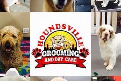 Top Dog Day Care in Richmond, VA My Caring Dog – Tips, Stories, and Care Guides for Loving Pet Owners Top Dog Day Care in Richmond, VA | My Caring Dog – Tips, Stories, and Care Guides for Loving Pet Owners