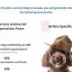 Best Service Dogs in Canada: Ultimate Guide | My Caring Dog – Tips, Stories, and Care Guides for Loving Pet Owners