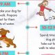 Best Dog Car Routine: Tips & Tricks | My Caring Dog – Tips, Stories, and Care Guides for Loving Pet Owners