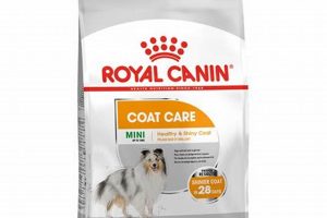Best Royal Canin Coat Care Dog Food Guide My Caring Dog – Tips, Stories, and Care Guides for Loving Pet Owners Best Royal Canin Coat Care Dog Food Guide | My Caring Dog – Tips, Stories, and Care Guides for Loving Pet Owners