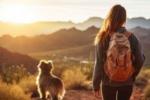 Top Dog Day Care in Chandler, AZ My Caring Dog – Tips, Stories, and Care Guides for Loving Pet Owners Top Dog Day Care in Chandler, AZ | My Caring Dog – Tips, Stories, and Care Guides for Loving Pet Owners