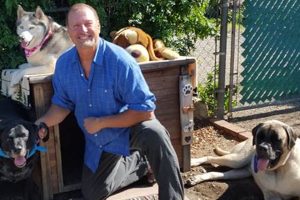 Best Dog Day Care in Murrieta CA: Top Choices My Caring Dog – Tips, Stories, and Care Guides for Loving Pet Owners Best Dog Day Care in Murrieta CA: Top Choices | My Caring Dog – Tips, Stories, and Care Guides for Loving Pet Owners