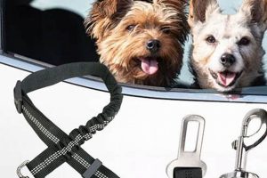 Best Dog Car Harnesses on eBay: Safe & Secure My Caring Dog – Tips, Stories, and Care Guides for Loving Pet Owners Best Dog Car Harnesses on eBay: Safe & Secure | My Caring Dog – Tips, Stories, and Care Guides for Loving Pet Owners