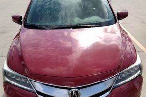 Best Water Works Car & Dog Wash LLC | Local My Caring Dog – Tips, Stories, and Care Guides for Loving Pet Owners Best Water Works Car & Dog Wash LLC | Local | My Caring Dog – Tips, Stories, and Care Guides for Loving Pet Owners