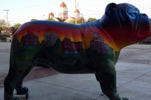 Best Dog Day Care in Crown Point, IN: Top Choices My Caring Dog – Tips, Stories, and Care Guides for Loving Pet Owners Best Dog Day Care in Crown Point, IN: Top Choices | My Caring Dog – Tips, Stories, and Care Guides for Loving Pet Owners