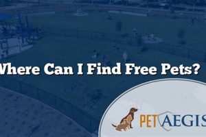 Find Free Dogs: Best Adoption Centers & Rescues My Caring Dog – Tips, Stories, and Care Guides for Loving Pet Owners Find Free Dogs: Best Adoption Centers & Rescues | My Caring Dog – Tips, Stories, and Care Guides for Loving Pet Owners