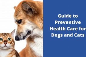 Top Dog Preventive Health Care Guide My Caring Dog – Tips, Stories, and Care Guides for Loving Pet Owners Top Dog Preventive Health Care Guide | My Caring Dog – Tips, Stories, and Care Guides for Loving Pet Owners