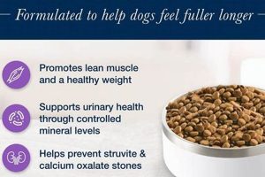Best Urinary Care Dry Dog Food for UT Health My Caring Dog – Tips, Stories, and Care Guides for Loving Pet Owners Best Urinary Care Dry Dog Food for UT Health | My Caring Dog – Tips, Stories, and Care Guides for Loving Pet Owners