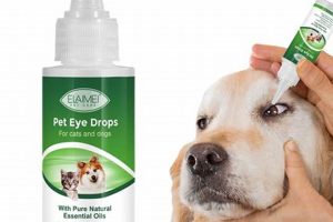 Essential At-Home Eye Care for Dogs My Caring Dog – Tips, Stories, and Care Guides for Loving Pet Owners Essential At-Home Eye Care for Dogs | My Caring Dog – Tips, Stories, and Care Guides for Loving Pet Owners
