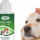 Essential At-Home Eye Care for Dogs | My Caring Dog – Tips, Stories, and Care Guides for Loving Pet Owners