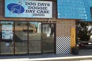 Best Dog Days Doggie Day Care in Rio Rancho, NM My Caring Dog – Tips, Stories, and Care Guides for Loving Pet Owners Best Dog Days Doggie Day Care in Rio Rancho, NM | My Caring Dog – Tips, Stories, and Care Guides for Loving Pet Owners