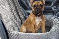 Best Car Seat Beds for Dogs: Safe & Comfy My Caring Dog – Tips, Stories, and Care Guides for Loving Pet Owners Best Car Seat Beds for Dogs: Safe & Comfy | My Caring Dog – Tips, Stories, and Care Guides for Loving Pet Owners