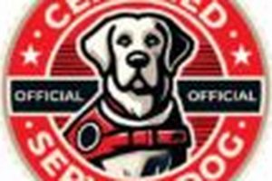Global Service Dog Support & Resources My Caring Dog – Tips, Stories, and Care Guides for Loving Pet Owners Global Service Dog Support & Resources | My Caring Dog – Tips, Stories, and Care Guides for Loving Pet Owners