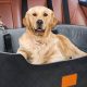 Best Travel Car Seats For Dogs: Safe & Secure | My Caring Dog – Tips, Stories, and Care Guides for Loving Pet Owners